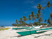 Malapasqua Island