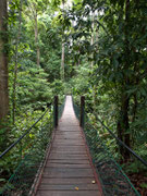 Sepilok Rainforest discovery centre