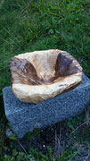 Schale Schwarznuss