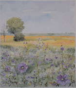 Fiordalisi - Acquerello 2016 - cm 32x28