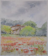 Campo di papaveri - Acquerello 2016 - cm 32x28