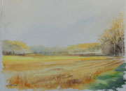 Autunno nella bassa -2 - Acquerello cm 30x40 - Anno 2020