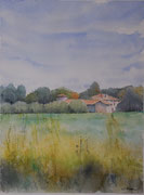 "OASI VERDE" - Acquerello - cm 40x30 - Anno 2024