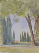 "Parco giardino Sigurtà" - Acquerello cm 40x30 - Anno 2022
