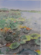 Ultimi fiori" - Acquerello cm 40x30 - Anno 2023 - (NON DISPONIBILE)