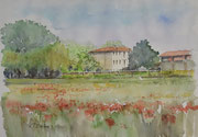 Papaveri - Acquerello 2019 - cm 30x40