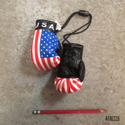Colgante guantes USA /arriendo: $5.000 el par / Garantía: $15.000
