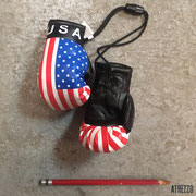 GUANTES U.S.A. (DECORACIÓN AUTO) / ARRIENDO: $5.000 PAR / GARANTÍA: $15.000 PAR