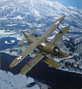 USAAF