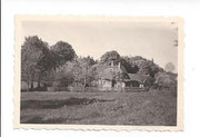 Forsthaus "Grüne Eiche"