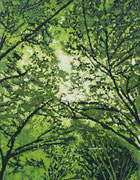 2.都会の森＿Urban forest＿297×210(217×170)mm_silkscreen_ed.7_2020_HidemiMOMMA.jpg