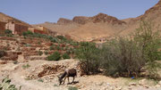 Village berbère accroché à la montagne