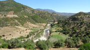 Nous retrouvons enfin des paysages verts