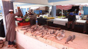 Le marché aux poissons de Sidi Ifni