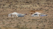 Tentes nomades peu avant Aglou-plage