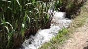 L'irrigation de la palmeraie se fait grâce à l'eau de l'oued