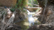 Canal d'irrigation