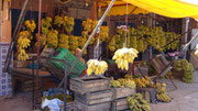 Etal de bananes à Tamri