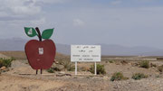 Région de culture des pommes
