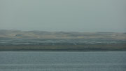 En face, au pied des dunes, verrons-nous des flaments ?