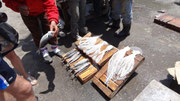 Etal de poissons sur le port