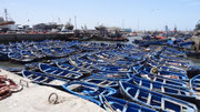 Essaouira : la flottille des barques