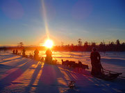 Huskytour in Schweden im Januar