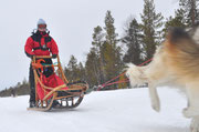 In voller Fahrt durch Lappland