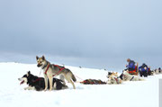 Wohlverdiente Pause nach einer schönene Huskytour im Gebirge