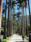 Jardim Botanico