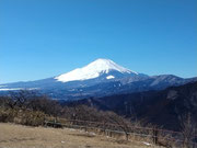 丹沢の大野山山頂からの富士山