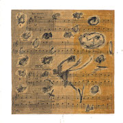 101 : 25 x 25 cm