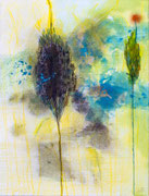 035 : 26 x 21 cm