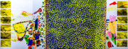 1,95 x 5,10 m / 2021