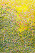 1,95 x 1,30 m / 2020 