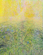 2,50 x 1,95 m / 2020