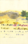 082: 43 x 28 cm