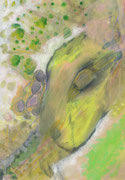  43 x 30 cm