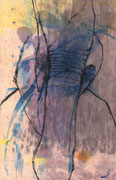 38 x 24 cm