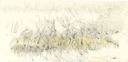 14,5x 29,5 cm 