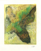 025 : 26 x 21 cm