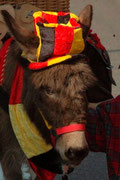 Foto: Grenz Echo G. Hennen