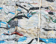 BIRDS PAY THE BILL 2024 Acryl auf Leinwand 70 x 90 cm