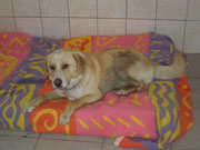Roky
