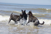 Familie im Meer