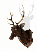  "Tête de cerf", sculpture en bois, JP Douziech