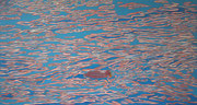 Strickente in unruhigem Wasser, 2012, 80 x 150 cm