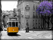 Lisboa Tram I