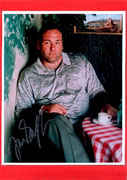 James Gandolfini ...Tony Soprano (86 Folgen, 1999-2007)