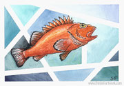 "Nr. 129: Yelloweyed Rockfish" - Aquarell im Postkartenformat, 39,00 Euro